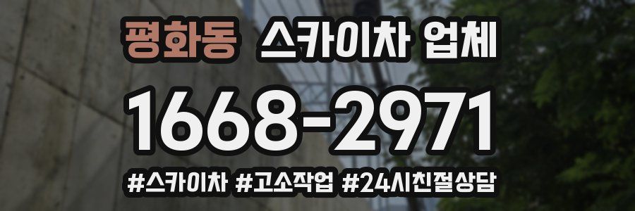 평화동 스카이차 업체