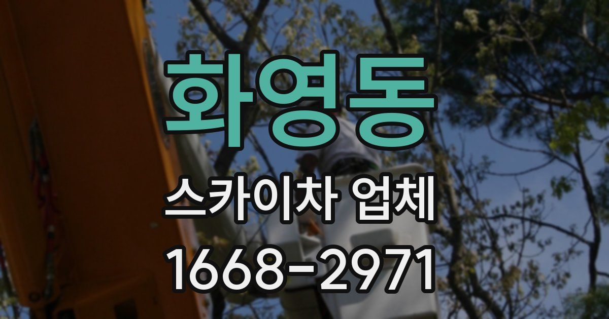 화영동 스카이차 업체