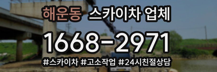 해운동 스카이차 업체