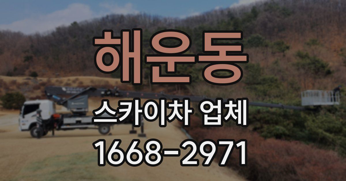 해운동 스카이차 업체