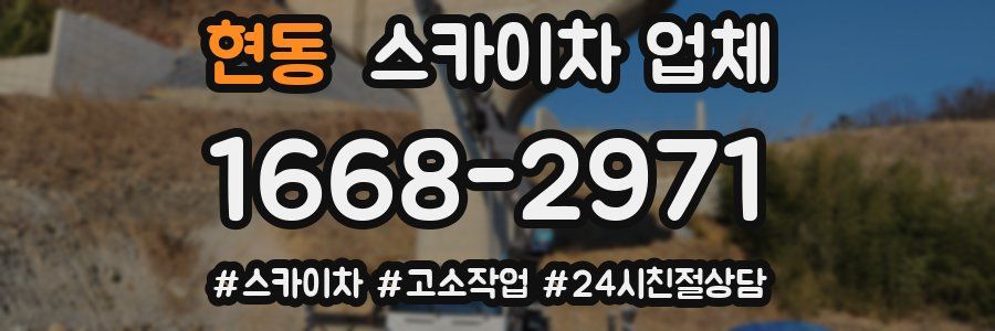 현동 스카이차 업체