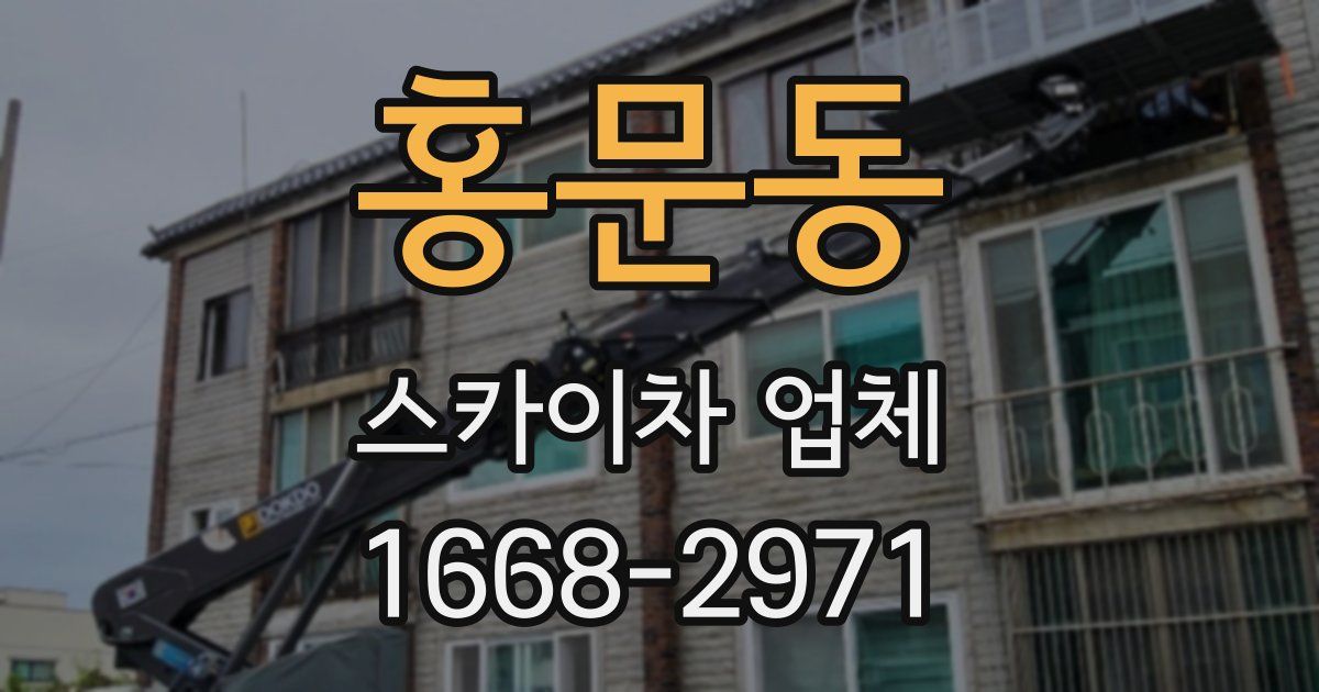 홍문동 스카이차 업체