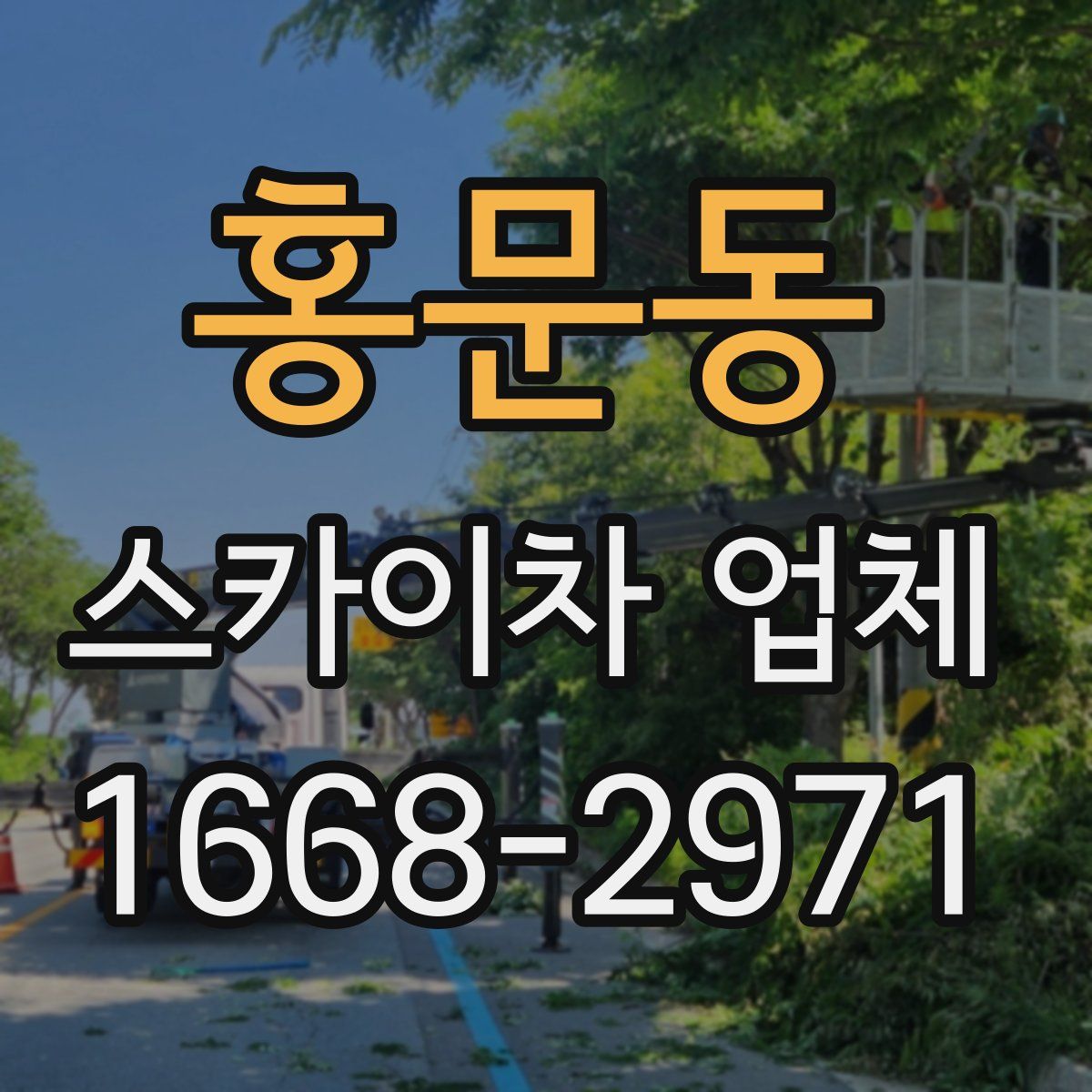 홍문동 스카이차 업체