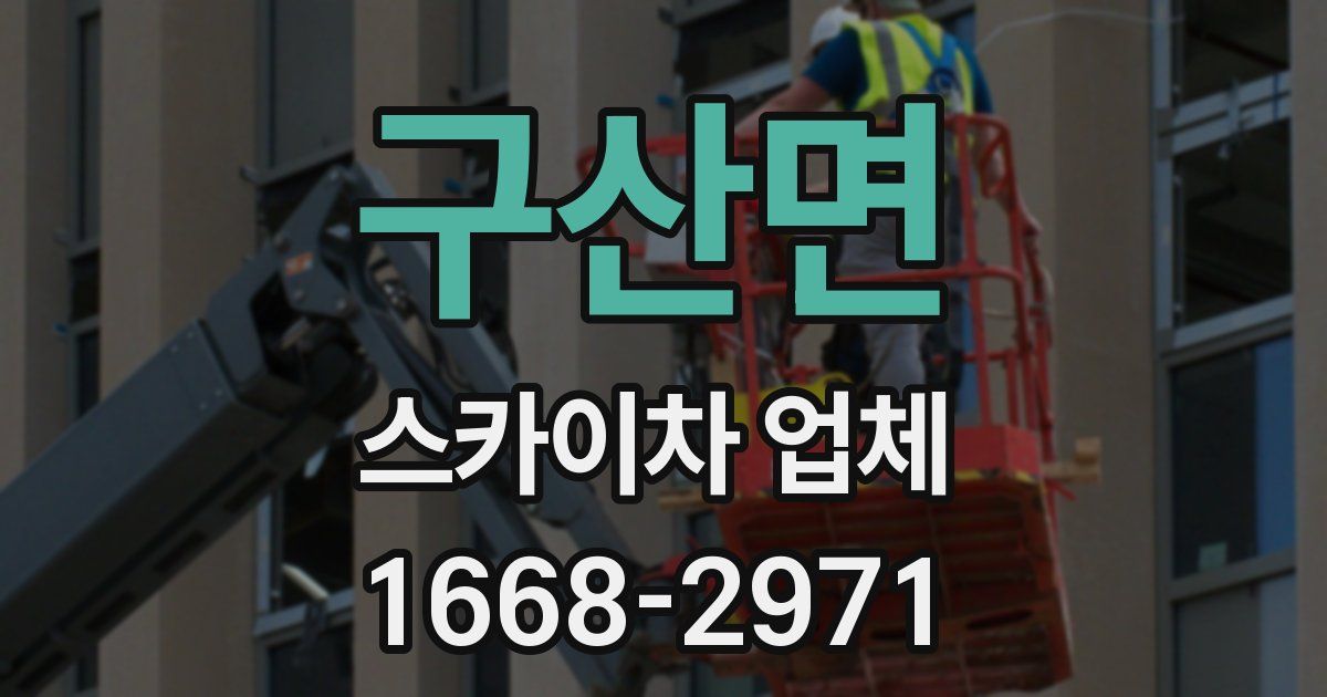 구산면 스카이차 업체