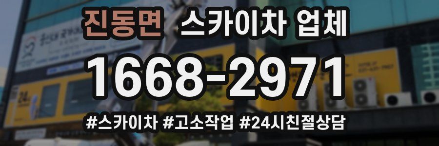 진동면 스카이차 업체