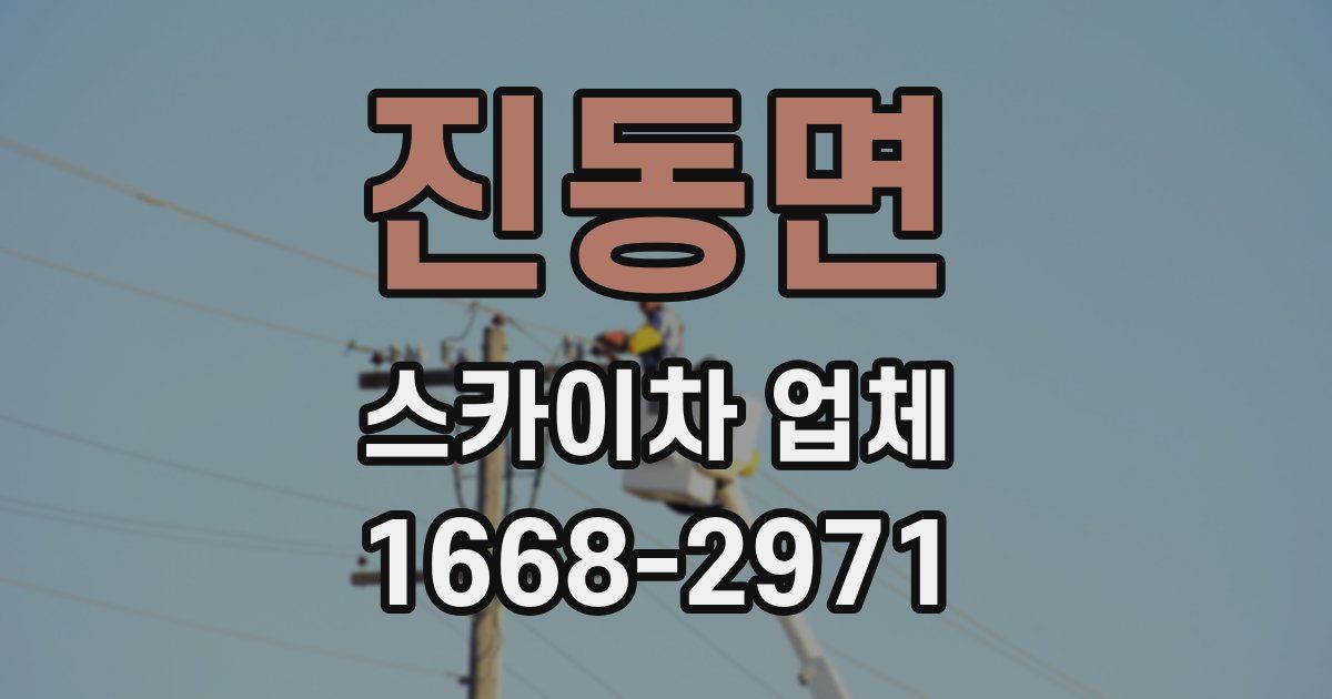 진동면 스카이차 업체