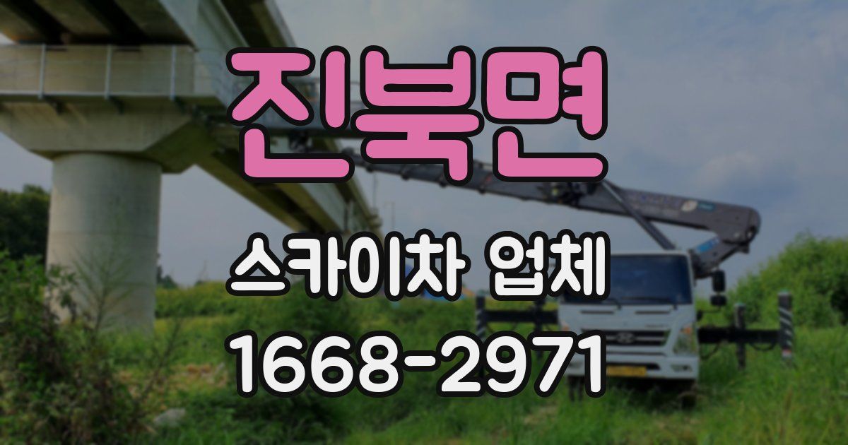 진북면 스카이차 업체