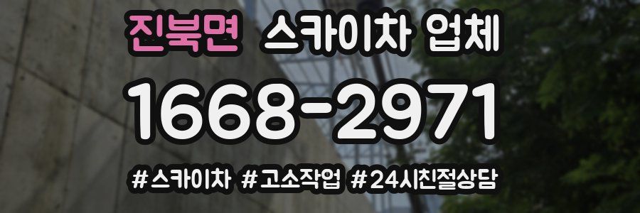 진북면 스카이차 업체