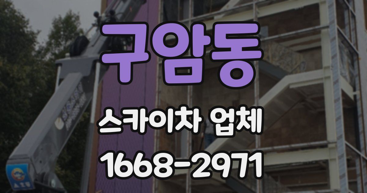 구암동 스카이차 업체