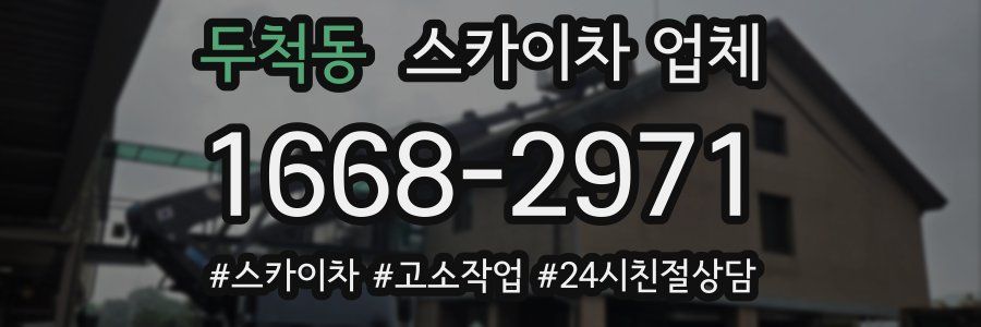 두척동 스카이차 업체