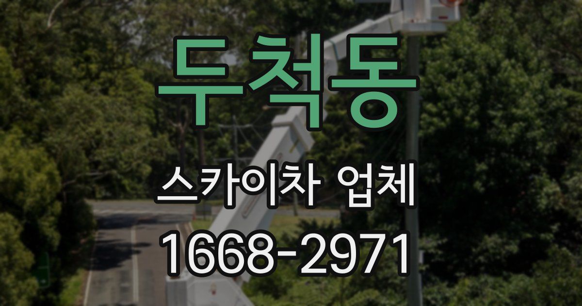 두척동 스카이차 업체