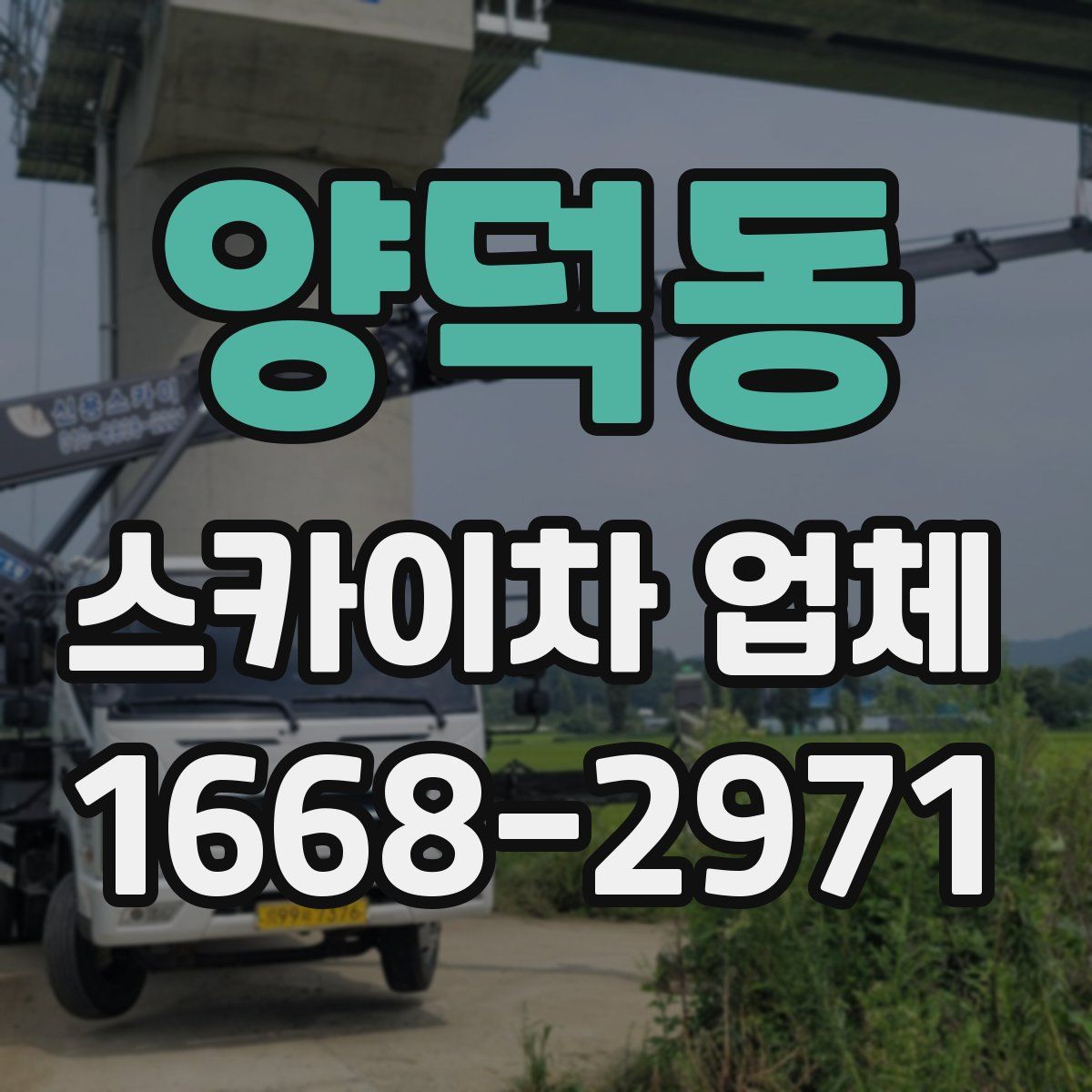 양덕동 스카이차 업체