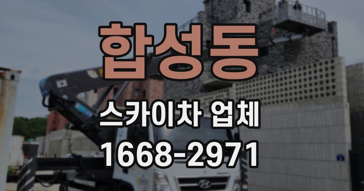합성동 스카이차 업체
