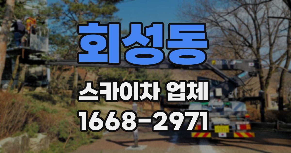 회성동 스카이차 업체
