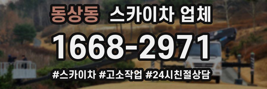 동상동 스카이차 업체