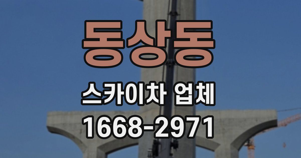동상동 스카이차 업체