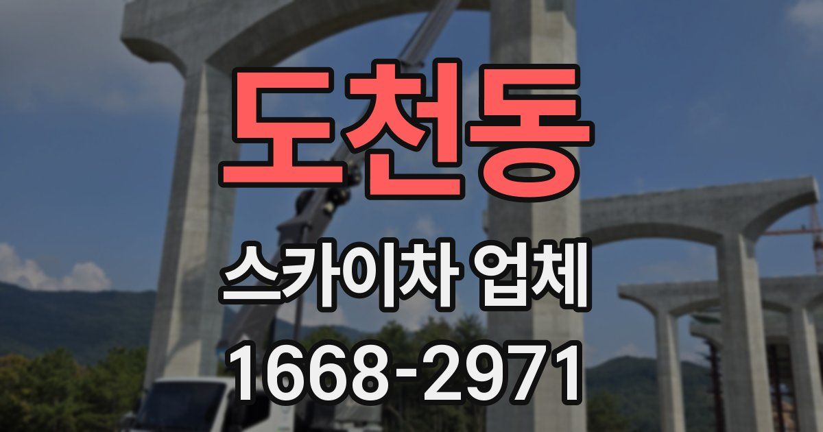 도천동 스카이차 업체