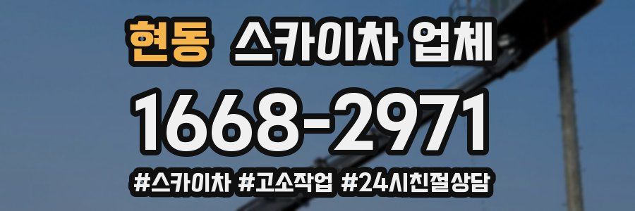 현동 스카이차 업체
