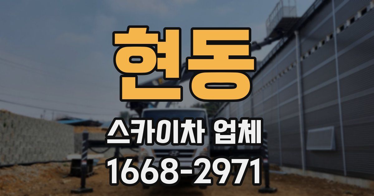 현동 스카이차 업체