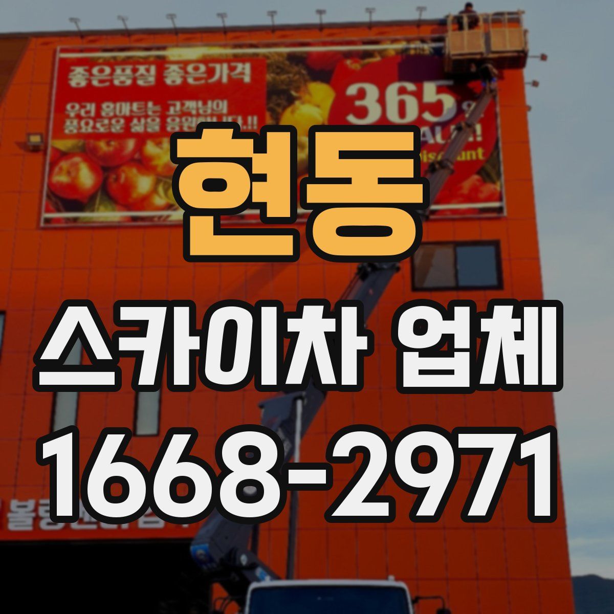 현동 스카이차 업체