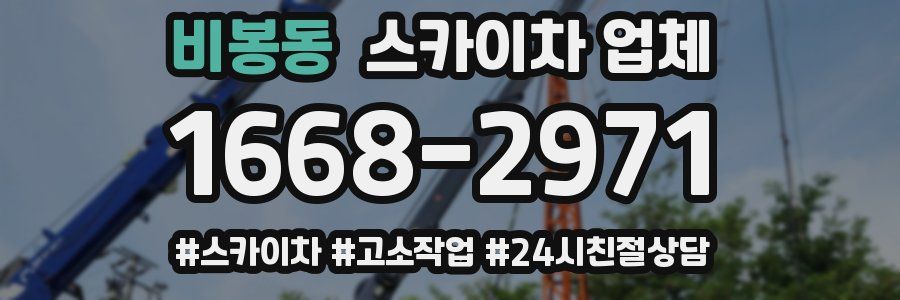 비봉동 스카이차 업체