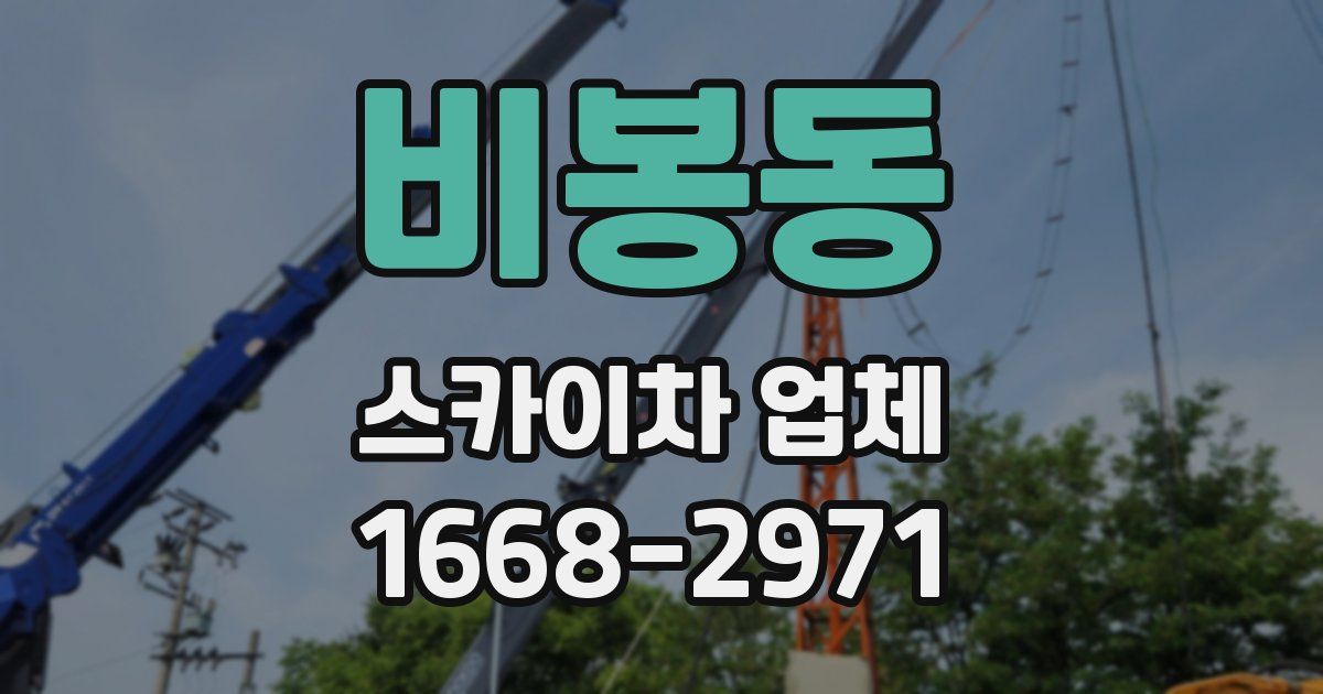 비봉동 스카이차 업체