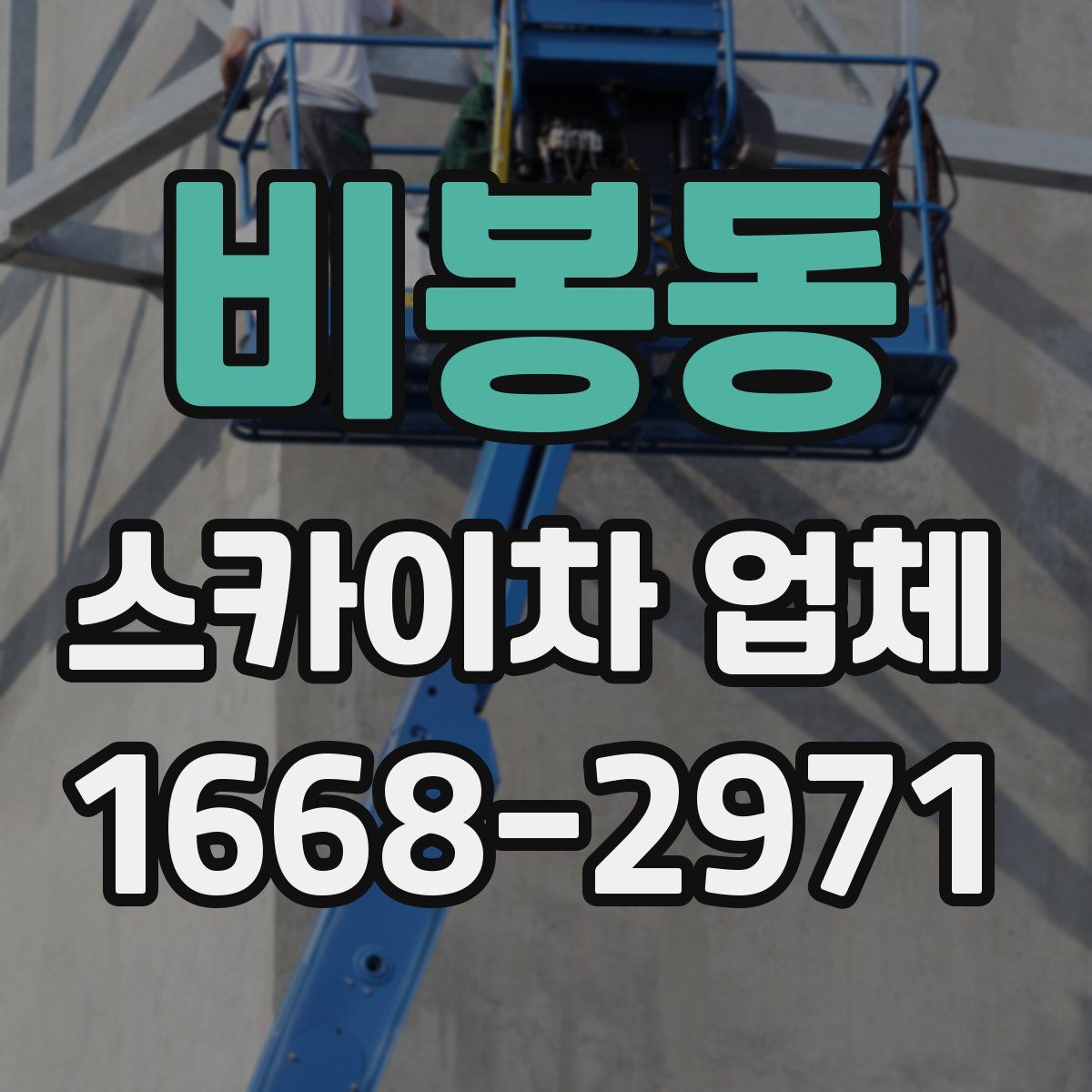 비봉동 스카이차 업체