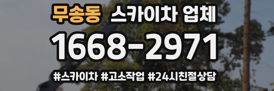 무송동 스카이차 업체