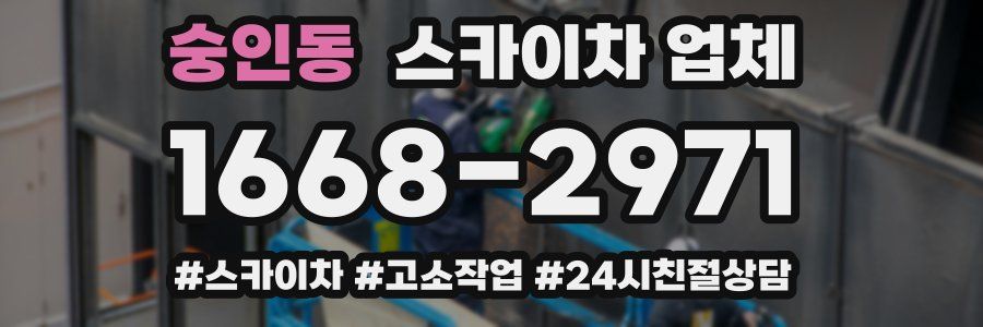 숭인동 스카이차 업체
