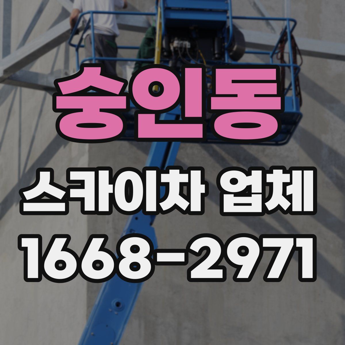 숭인동 스카이차 업체