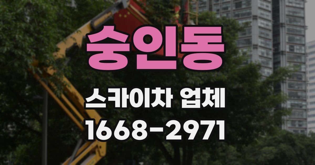 숭인동 스카이차 업체