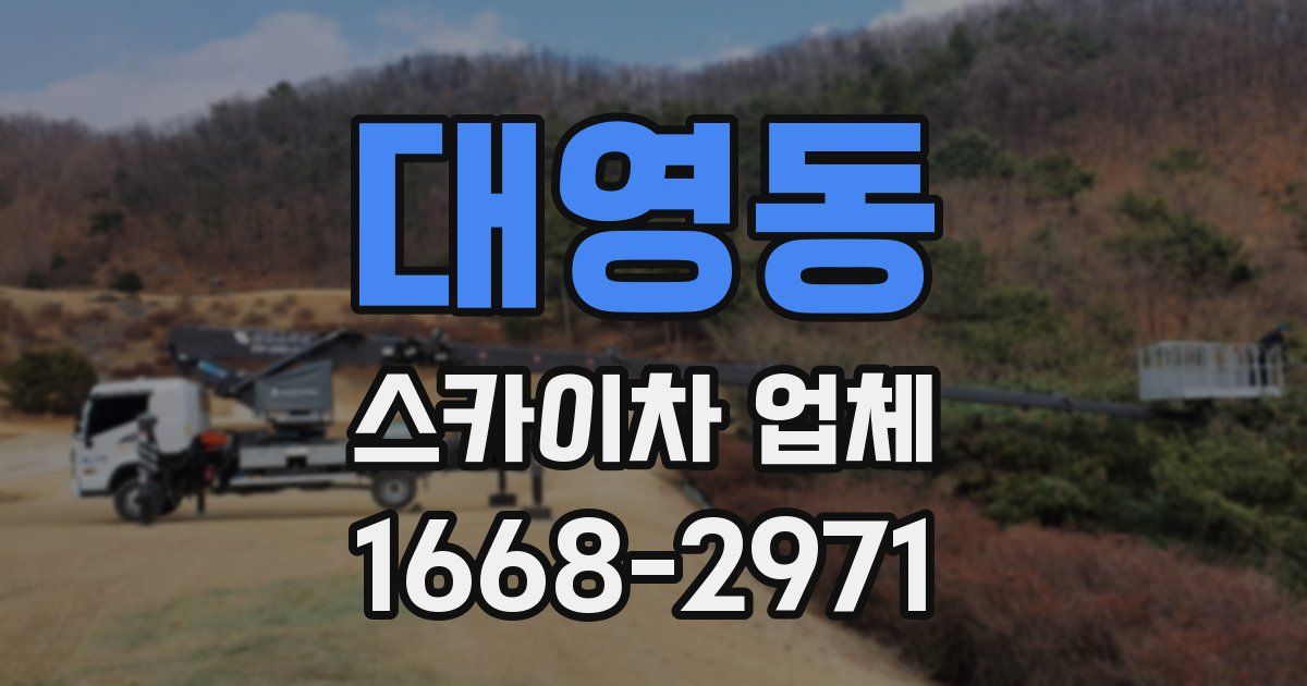 대영동 스카이차 업체