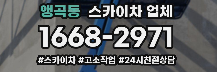 앵곡동 스카이차 업체