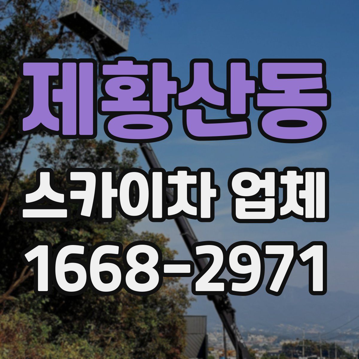 제황산동 스카이차 업체