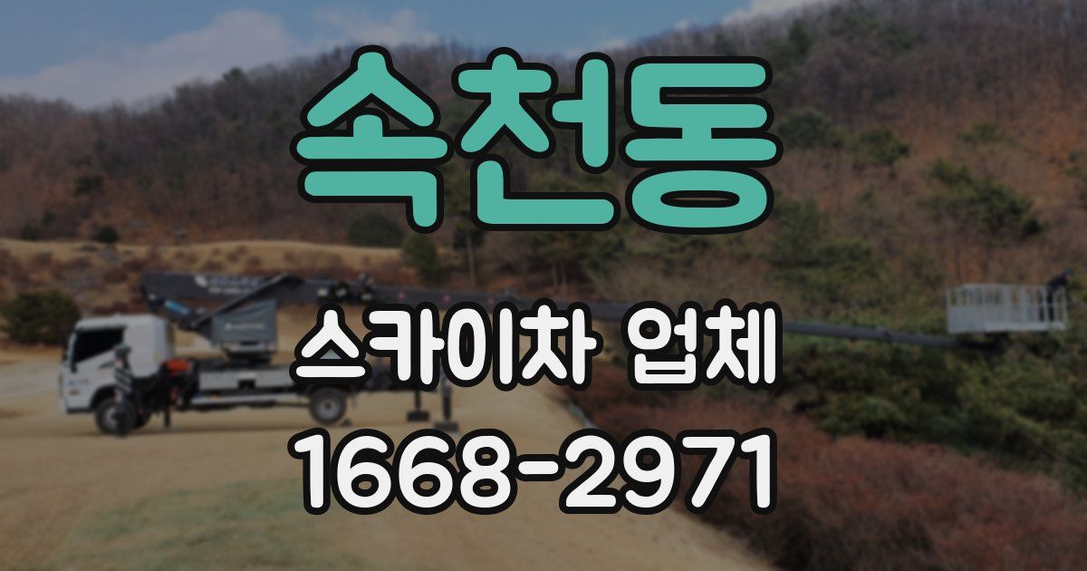 속천동 스카이차 업체