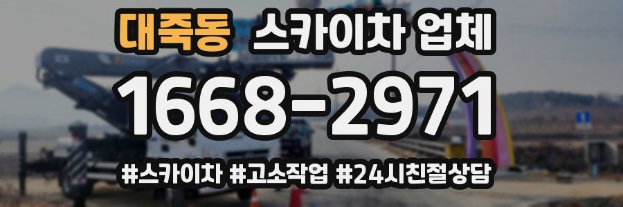 대죽동 스카이차 업체