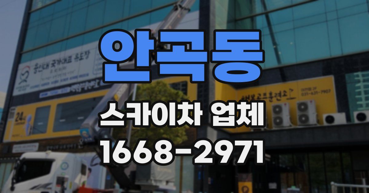 안곡동 스카이차 업체