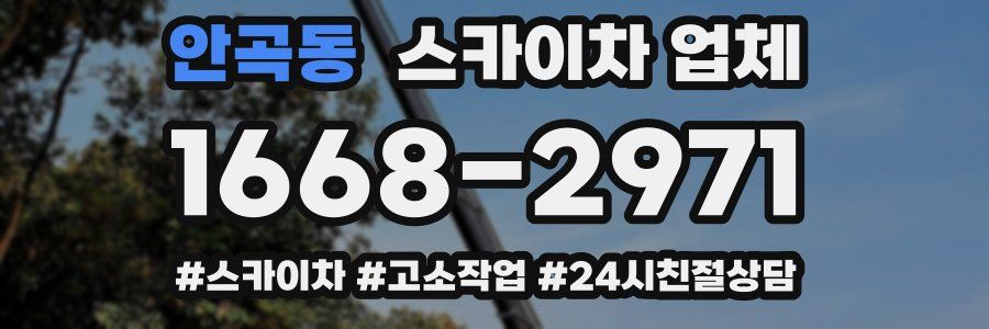 안곡동 스카이차 업체