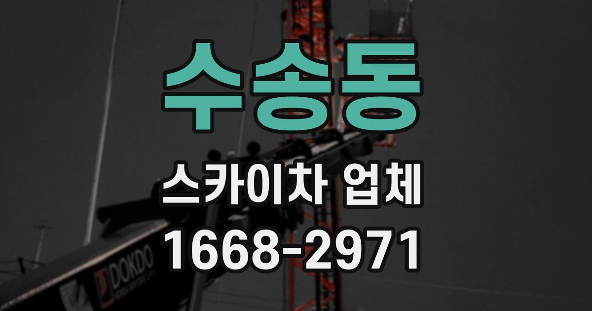 수송동 스카이차 업체