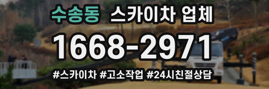 수송동 스카이차 업체