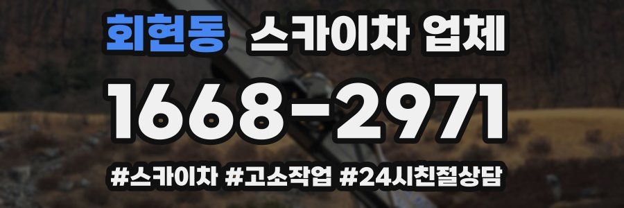 회현동 스카이차 업체