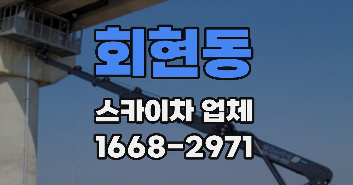 회현동 스카이차 업체
