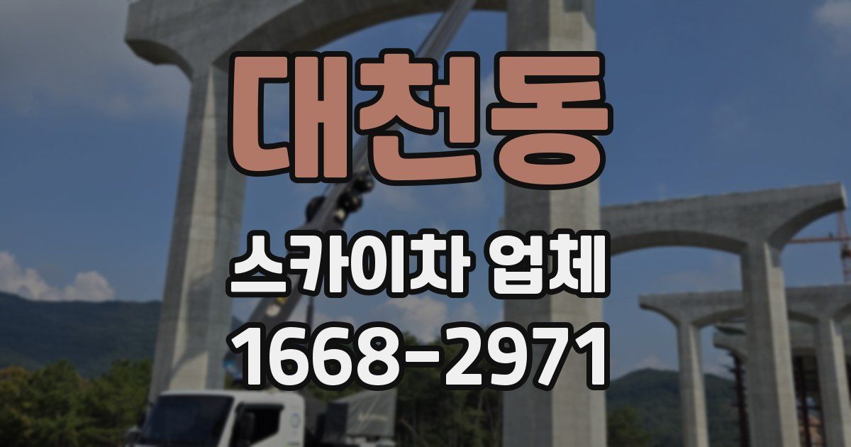 대천동 스카이차 업체