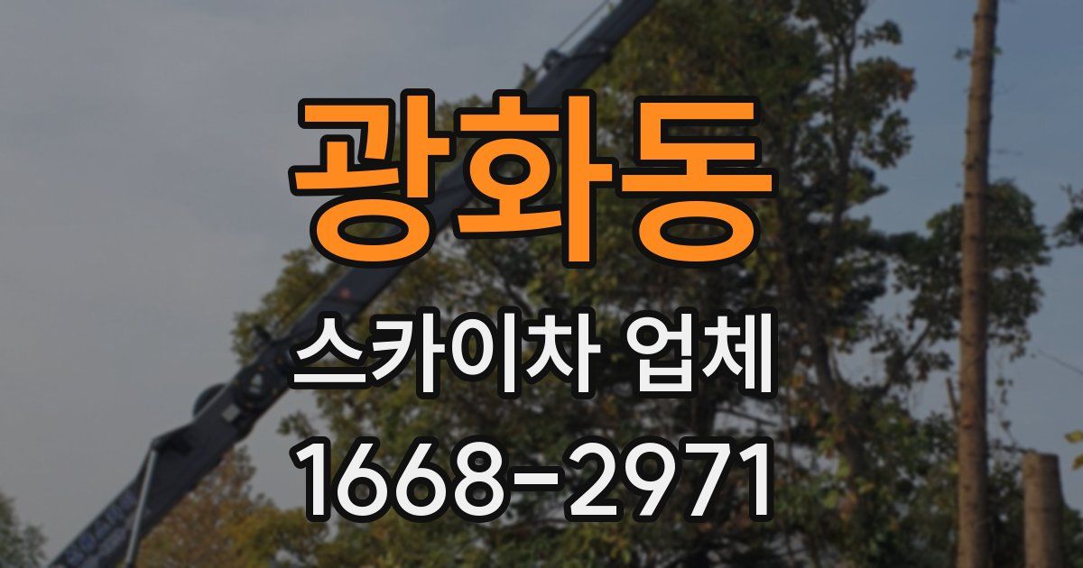광화동 스카이차 업체