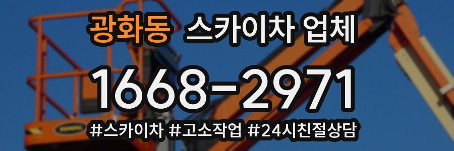 광화동 스카이차 업체