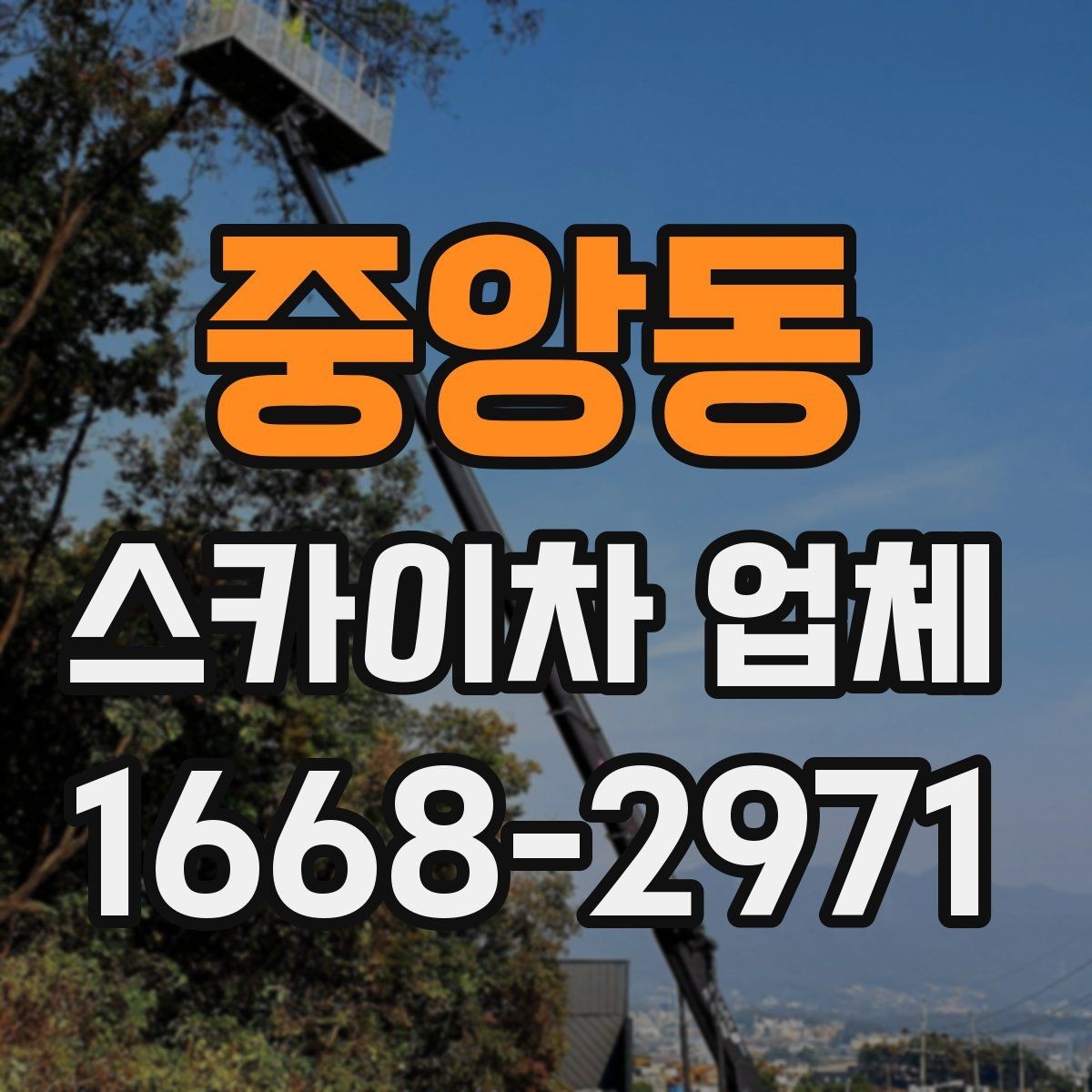 중앙동 스카이차 업체 후기에서 자주 보는 포인트