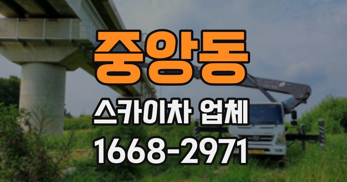 중앙동 스카이차 업체