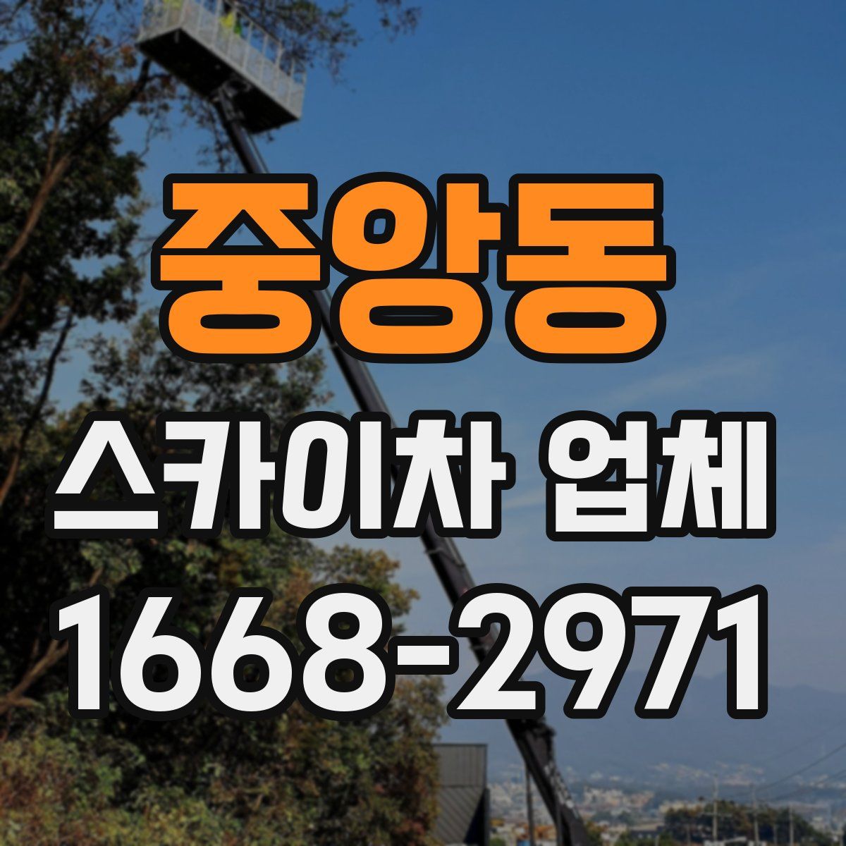 중앙동 스카이차 업체