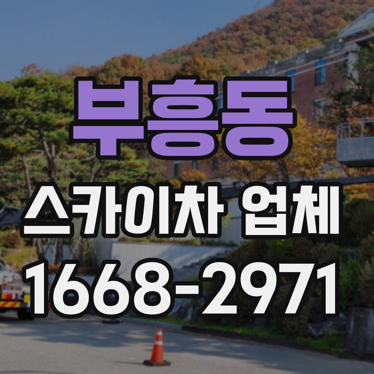 부흥동 스카이차 업체