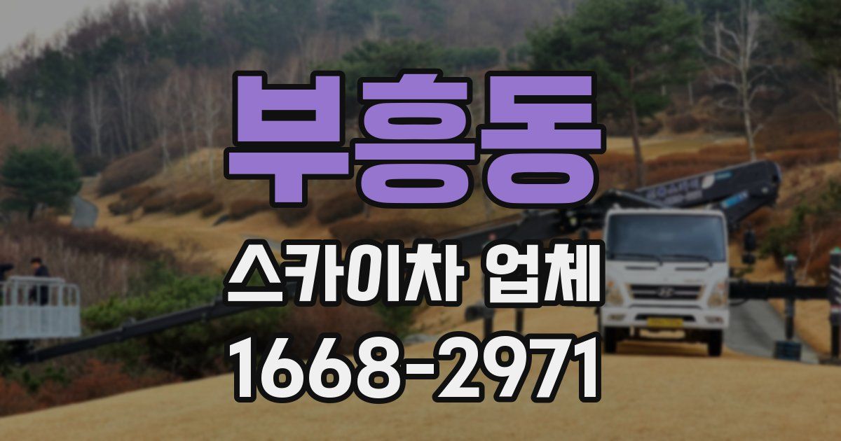 부흥동 스카이차 업체